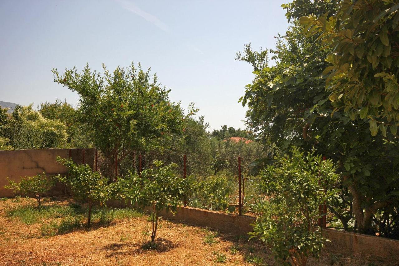 Apartments And Rooms With Parking Space Orebic, Peljesac - 10191 외부 사진